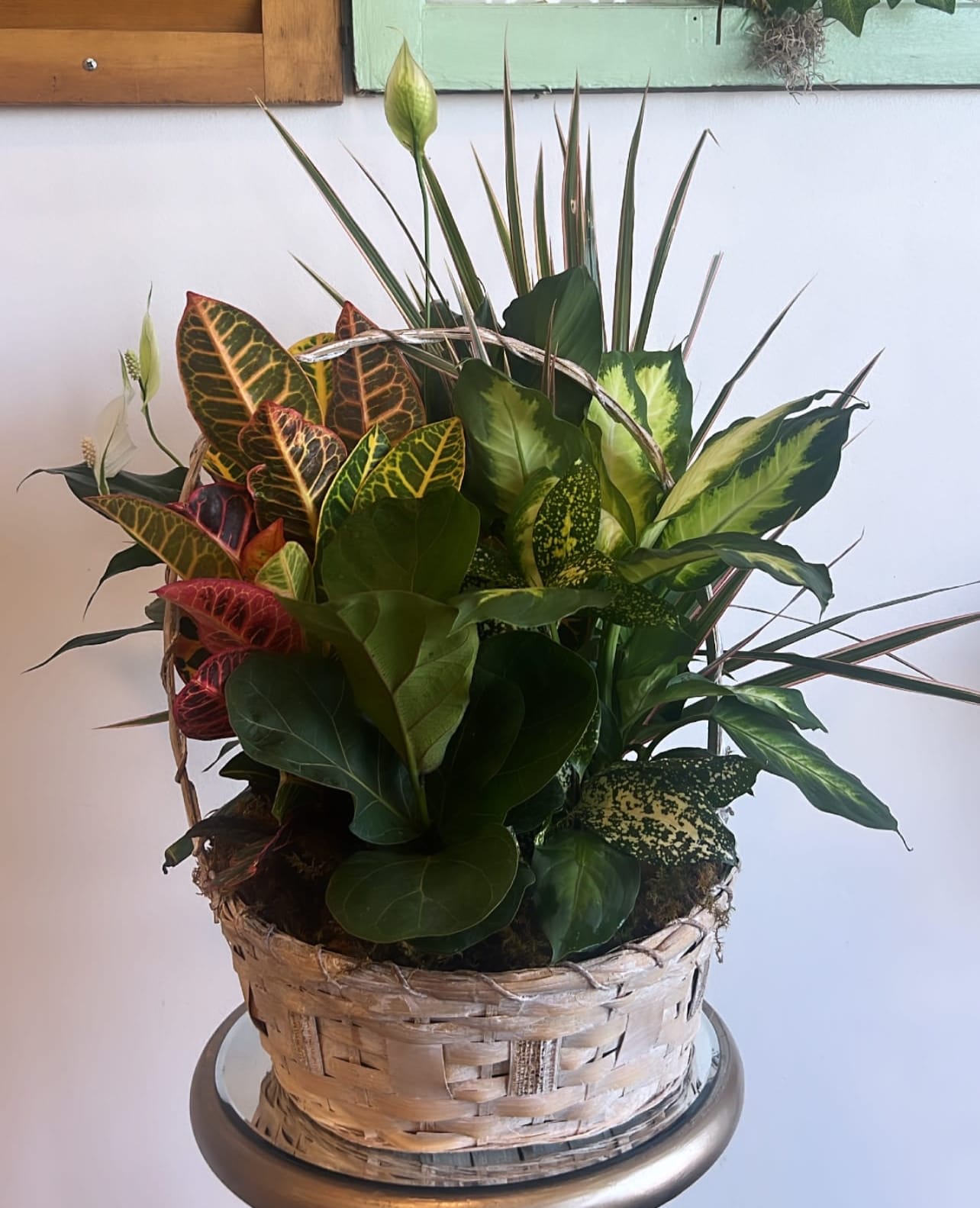 Dish Garden In Basket : Code:4673 - Introducing our exquisite plant and dish garden collection, a perfect alternative to floral arrangements for funeral viewings. These long-lasting plants are a thoughtful and elegant way to express your condolences. 