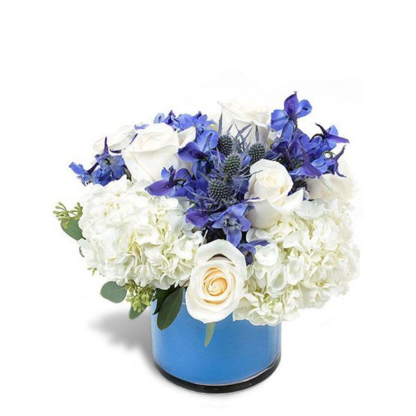 SFD20073 - Cerulean - SFD20073 - Cerulean White hydrangeas, creme roses, blue delphinium and eryngium, in a glass cylinder vase.