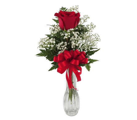 Simply Put "I Love You" Simply Put "I Love You" - One single red rose says it all. "I Love You". Love, honor and respect is the true meaning of a single red rose. Send one today to the one that you love. Order early to get it to the office on time! Valentine's day is Tuesday, February 14th.