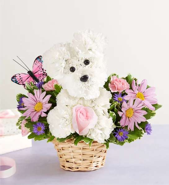Precious Pup for Mom 191546 - Our truly original 3D pup is a precious Mother’s Day surprise. Crafted from white carnations, with sweet pink blooms all around and a butterfly accent, this canine creation is designed in a dog bed basket. For more happy wishes, add our festive “Happy Mother’s Day” balloon.