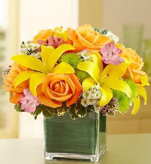 Fields of Europe in Cube Vase - Picture the beauty of a perfect Autumn day in Europe--it's easy with this vibrant arrangement of roses, lilies, alstroemeria, poms and more, arranged in a stylish cube bouquet lined with an exotic ti leaf ribbon. An enchanting addition to any celebration. European flower market-inspired bouquet of roses, lilies, alstroemeria, poms, waxflower, monte casino and variegated pittosporum Arranged by our expert florists in a contemporary clear glass cube vase lined with a ti leaf ribbon; vase measures 6&quot;H Large arrangement measures approximately 10.5&quot;H x 10&quot;L Medium arrangement measures approximately 10&quot;H x 9.5&quot;L Small arrangement measures approximately 9.5&quot;H x 9&quot;L Our florists hand-design each arrangement, so colors, varieties, and vase may vary due to local availability Lilies may arrive in bud form and will open to full beauty over the next 2-3 days