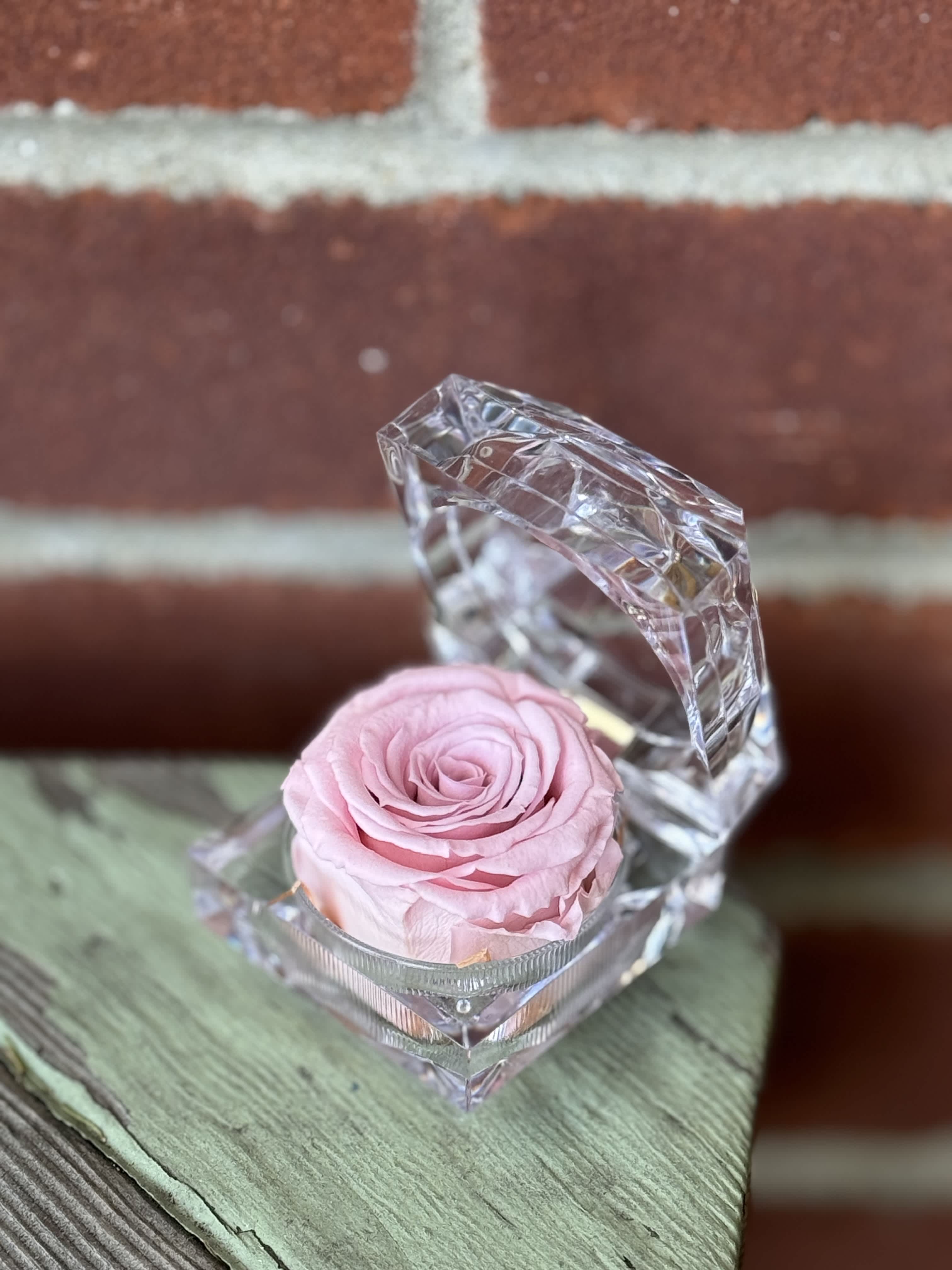 Marry Me Preserved Pink Rose Marry Me Preserved Pink Rose - A single preserved rose in a clear box will be delivered to your special someone!
