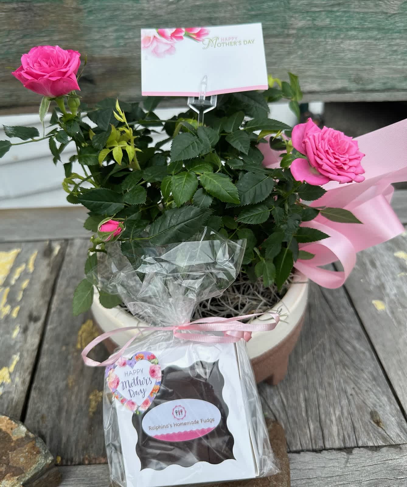 Mini Rose Bush And Fudge For Mom - Mini Rose bush and sweet Ralphina's fudge for Mom
