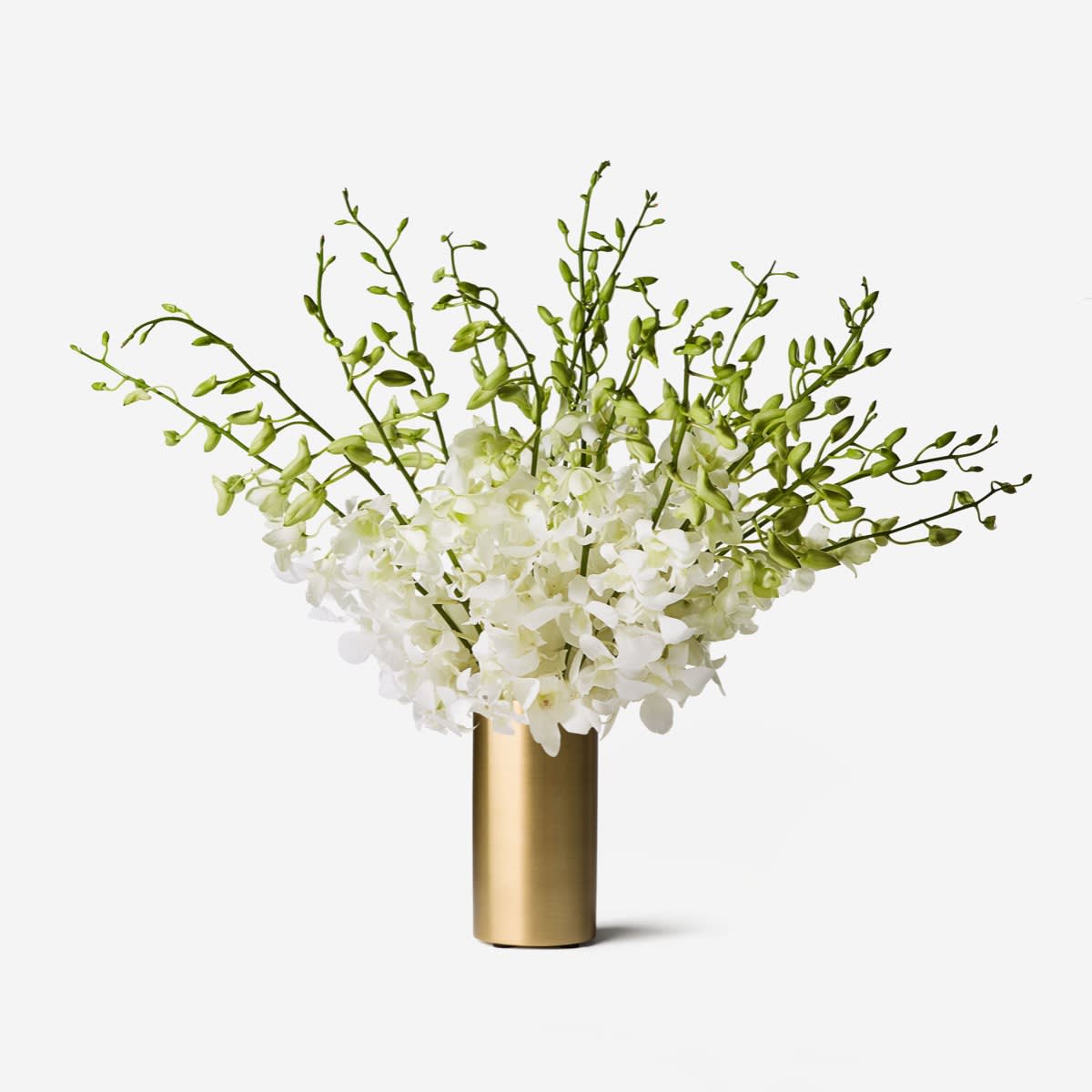 White Dendrobium Orchid Bouquet - Orchids are said to be a symbol of beauty, luxury, and love, so what better flowers to beautify your wedding or special event? Our White Dendrobium Orchids feature tall stalks laden with elegant white blossoms, creating an exotic catching display whether gathered in bouquets or standing alone.