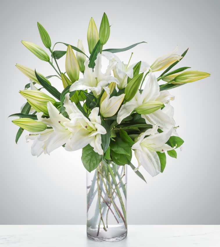 Peaceful Evening by BloomNation™ - The sophistication and elegance of white lilies are a classic statement for any occasion. This arrangement instantly elevates any room and will fill the space with that distinct sweet-smelling lily perfume. Unscented lilies are also available. 