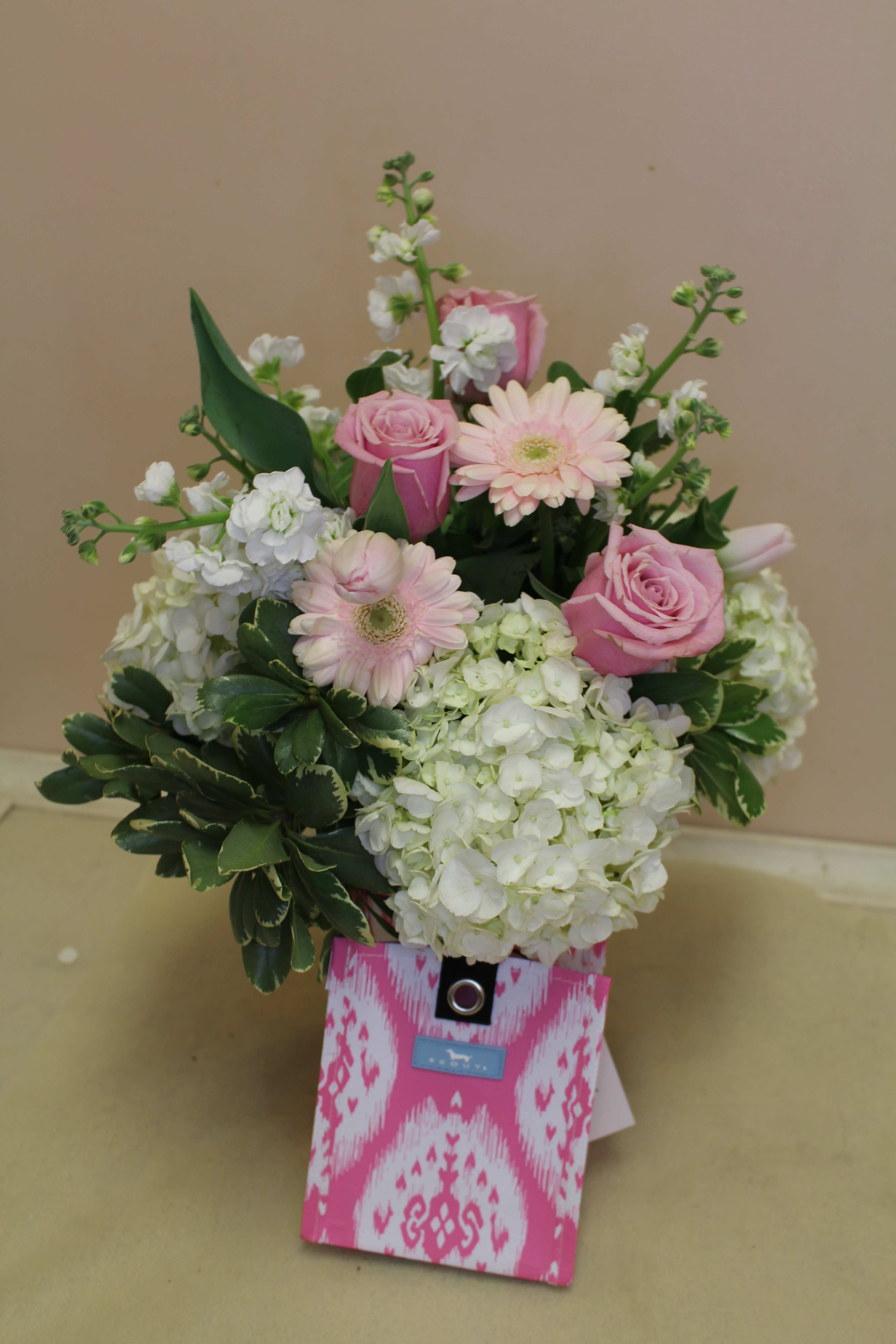 Scout MINI PACKAGE IKANT BELIZE In Stoneham, MA | Evergreen Florist Inc.