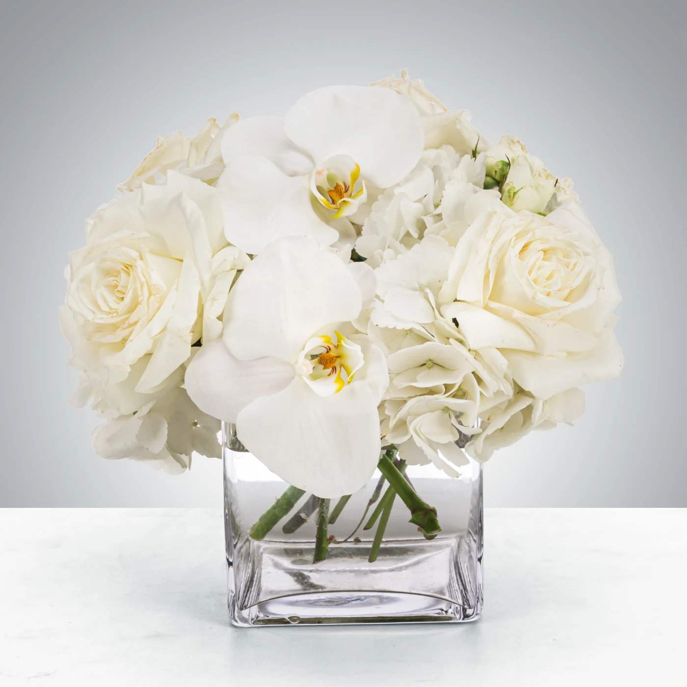 Linen by BloomNation™ Linen by BloomNation™ - This petite all-white arrangement featuring hydrangea and orchids is the perfect all-occasion gift. Send it for any holiday, event, or circumstance. Approximate Dimensions: 8"D x 8"H