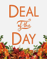 Deal of the day bouquet Deal of the day bouquet - Hand wrapped bouquet no vase