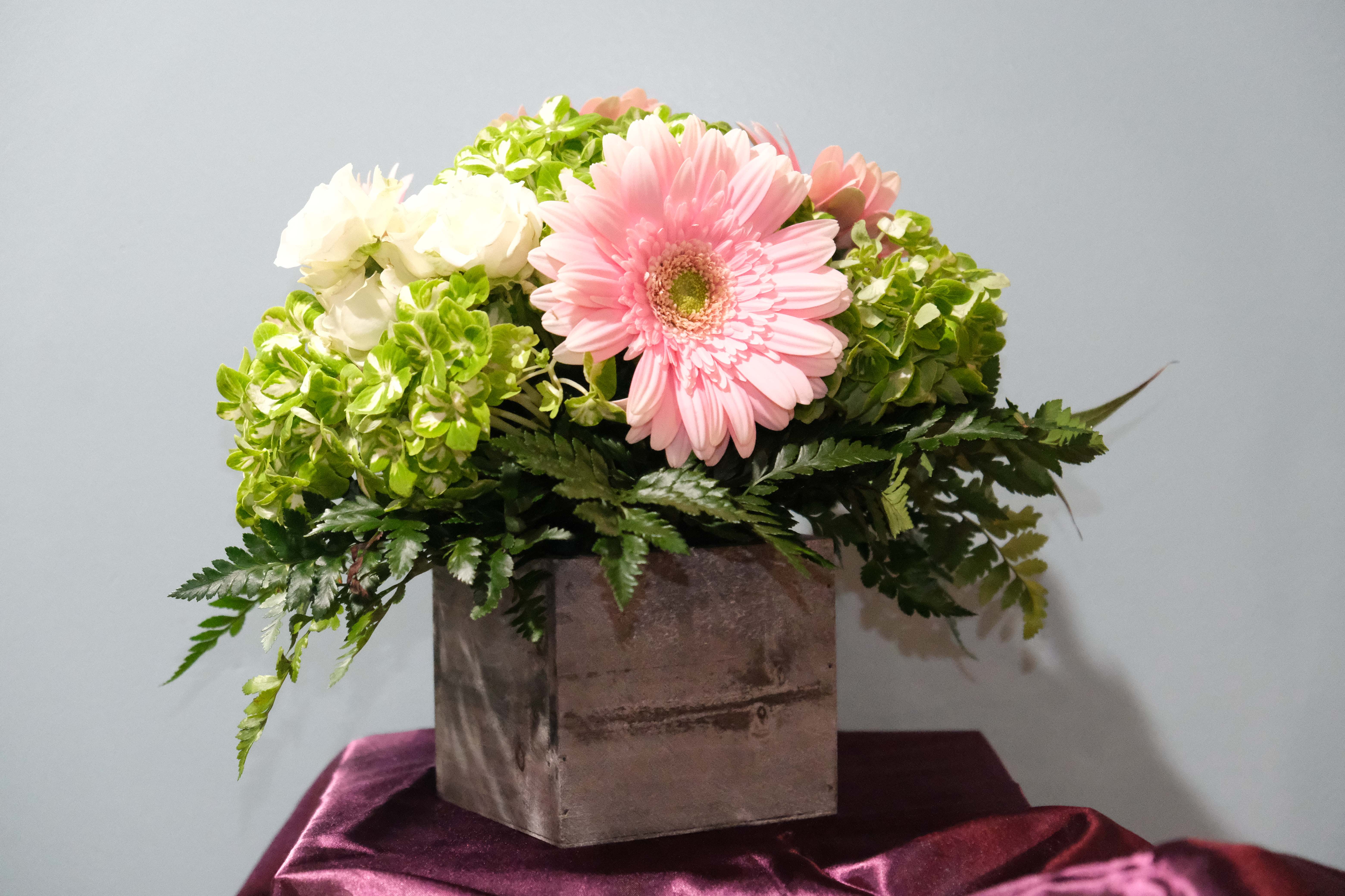 Spring haven - Vibrant green hydrangea, spray rose, pink Gerber daisy crowned with leather leaf in a lovely wooden planted box.