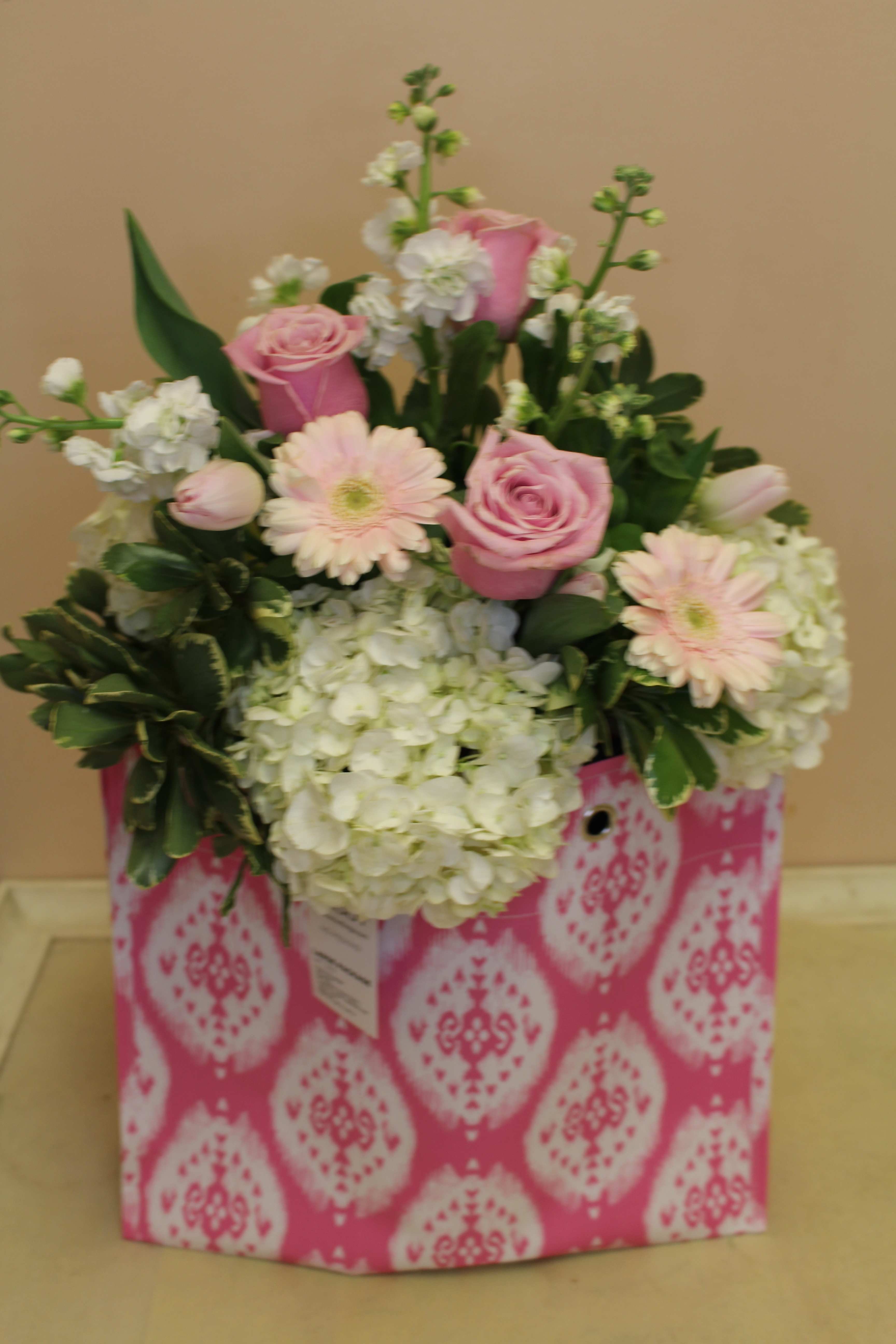 Scout LARGE PACKAGE IKANT BELIZE in Stoneham, MA | Evergreen Florist Inc.