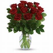 Dozen Roses  - These dozen red roses are classic! Perfect romantic gift for Valentine's Day or an Anniversary.   APPROXIMATE DIMENSIONS: 25&quot; H X 18&quot; W