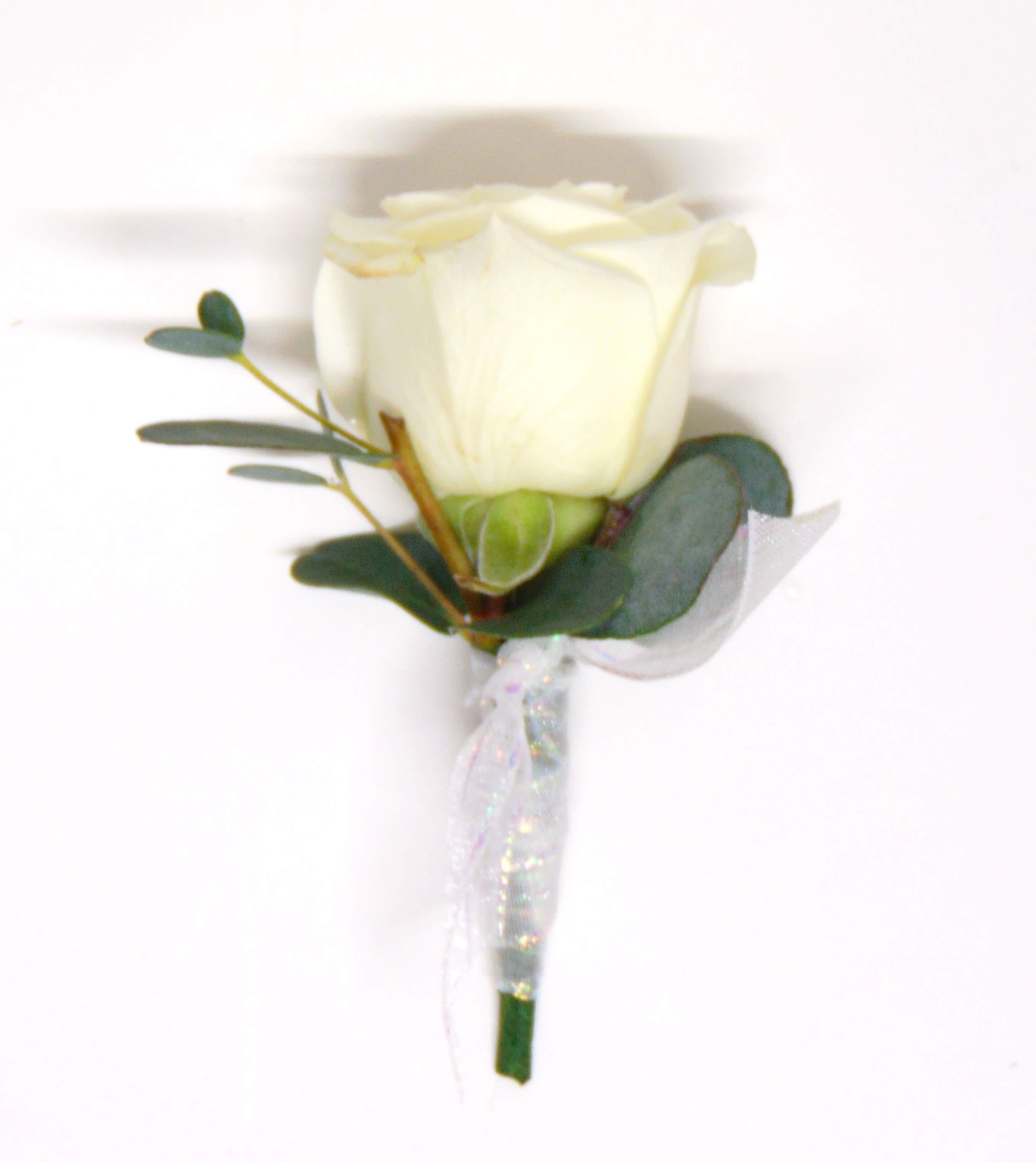 Single White Spray Rose &amp; Ribbon Wrap Boutonniere - One white spray rose, eucalyptus greens, sheer white ribbon wrap. Deluxe option adds bling. Displayed in a clear box. (for age 12 &amp; under)
