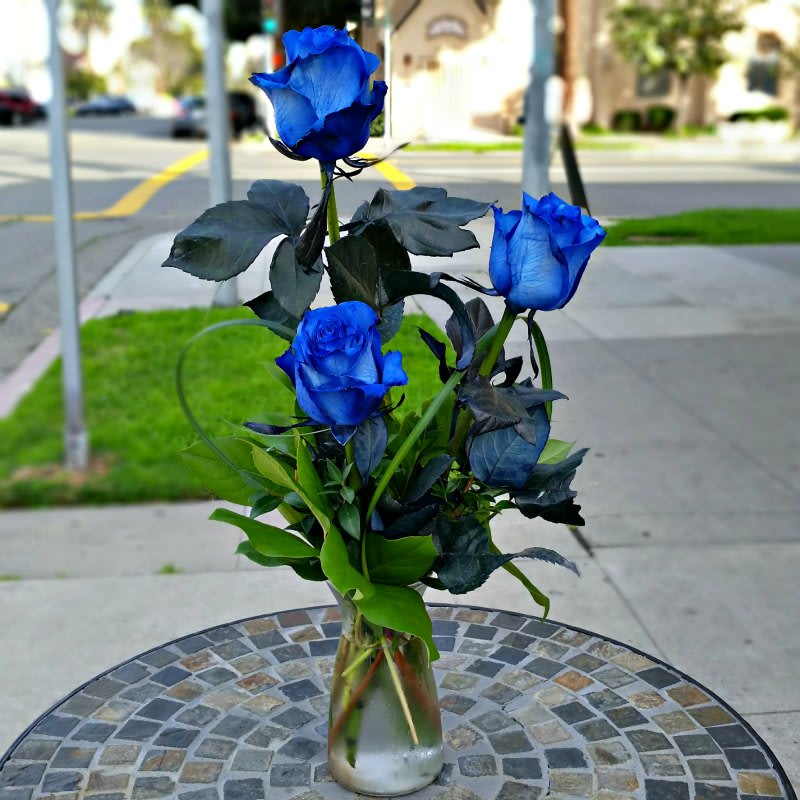 Blue - Three (3) Blue Roses in vase - Three beautiful and rare Blue roses accented by lush greens in vibe vase. Another ABC Florist exclusive!