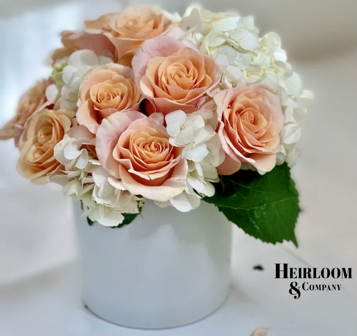 Enchanted Rose Garden - Mother’s Day Arrangement  - A selection of premium hydrangeas, meticulously handpicked, fills elegant white ceramic cubes alongside our luxurious Peachy blush roses. 