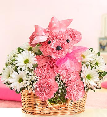 Princess Paws - EXCLUSIVE Add a little princess power to her day with our perfectly pink a-DOG-able arrangement. Hand-designed by our expert florists using fresh pink carnations, daisy poms and more, she arrives on an adorable doggie bed, accented with beautiful pink ribbon to make sending smiles to your princess a true walk in the park. Hand-crafted a-DOG-able arrangement of pink carnations, daisy poms, gypsophilia (aka baby's breath) and variegated pittosporum Arranged in the shape of an adorable dog, complete with eyes, nose and a pretty-in-pink polka dot ribbon Arrives in a willow dog bed basket lined with sheet moss Arrangement measures approximately 11.5&quot;H x 10&quot;L Our florists select the freshest flowers available so floral colors and varieties may vary