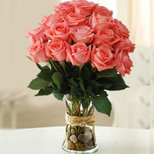 peach pink roses - peach pink roses
