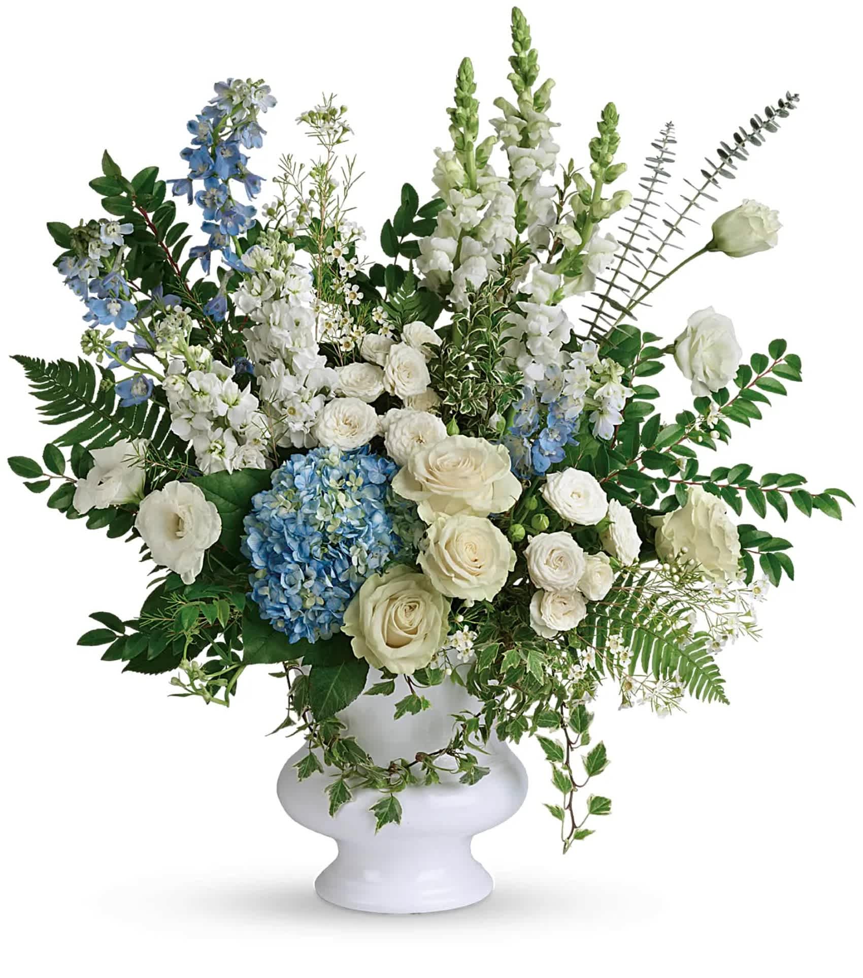 Treasured And Beloved Bouquet - A treasured tribute to your beloved, this gorgeously grand bouquet of soft blue hydrangea and pure white roses is reminiscent of a clear sky, a hopeful reminder of life and love.  This beautiful bouquet of light blue hydrangea, white roses, white spray roses, white lisianthus, light blue delphinium, white snapdragons, white stock, and white waxflower is accented with huckleberry, variegated ivy, spiral eucalyptus, dagger fern, and lemon leaf. Delivered in a white designer urn.   Approximately 27 1/2&quot; W x 29 1/4&quot; H