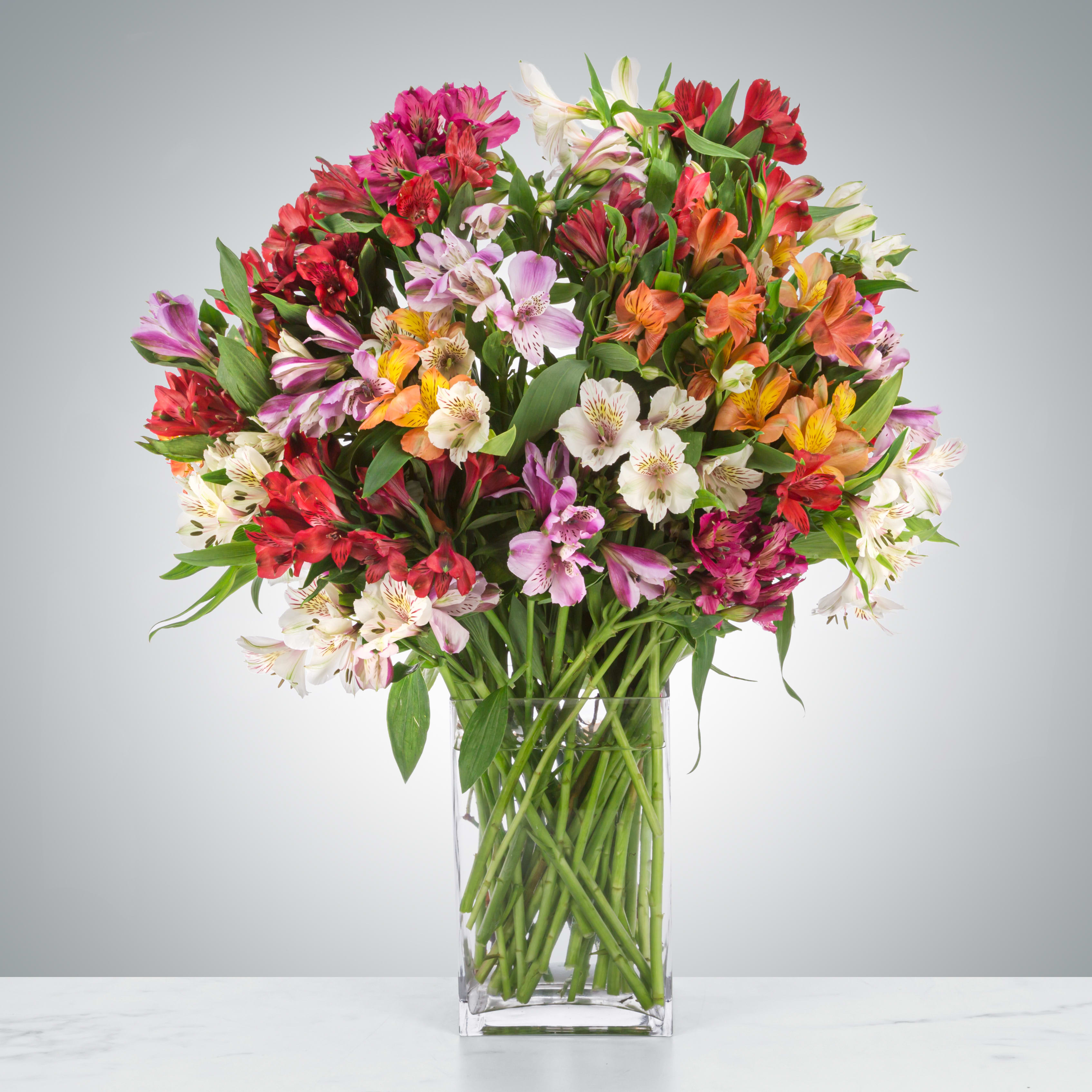 Amazing Alstroemeria by BloomNation™ - Alstroemeria often represents mutual support. This makes the arrangement the perfect choice for saying thank you or showing appreciation. Send this to your best friend, your family, or your coworker who always has your back.  1st Image: Standard 2nd Image: Premium