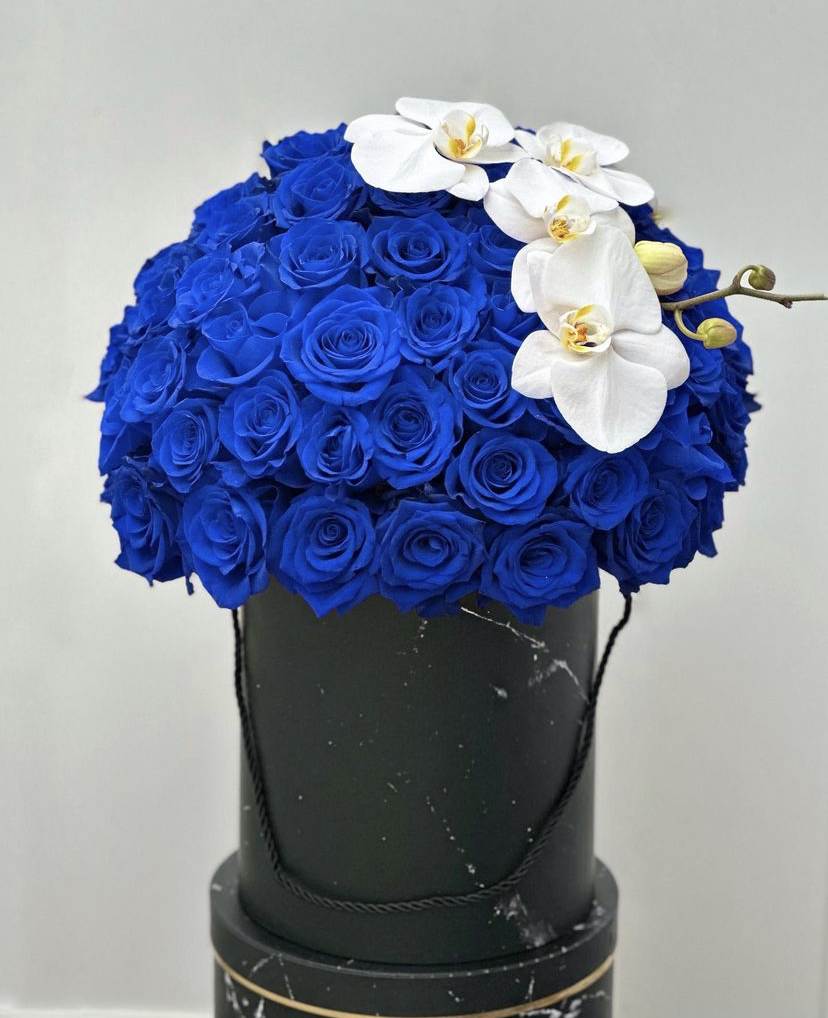 Black Box with Blue Roses Black Box with Blue Roses - In a sleek black box, a vision of tranquility and elegance emerges. Fifty azure roses, like fragments of the sky captured in bloom, grace the arrangement with their delicate beauty and soothing hue. Each petal unfolds with grace, evoking a sense of serenity and calm. Against the backdrop of darkness, their radiant blue tones shine with a mesmerizing allure, captivating the eye and stirring the soul. Together, they create a striking tableau, a testament to the power and allure of nature's palette.