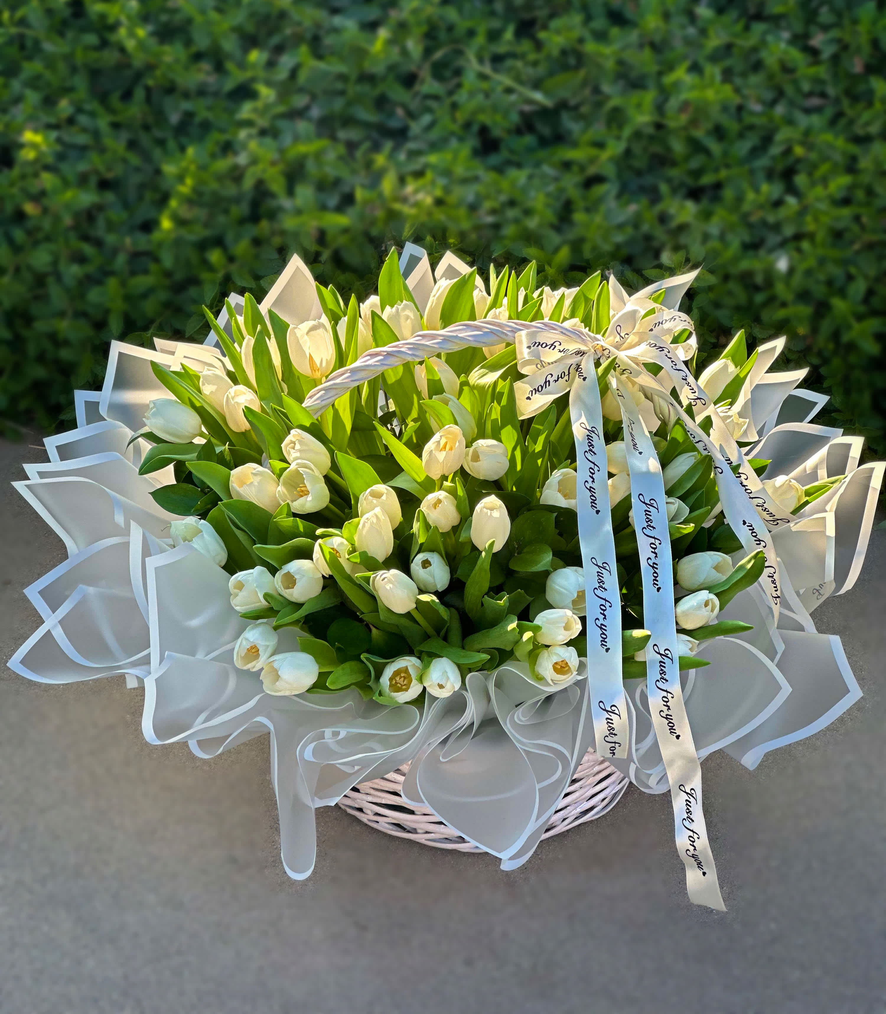 White Basket with White Tulips - A white basket adorned with white tulips and ribbons exudes timeless elegance and sophistication. The pristine white hue of the basket serves as a perfect canvas to highlight the pure beauty of the white tulips. Delicate ribbons, gracefully woven around the basket, add a touch of whimsy and refinement to the arrangement. The combination of white roses and ribbons creates a classic and graceful aesthetic, making it an enchanting centerpiece for any occasion. Whether as a gift or as a decorative accent, this white basket with white tulips and ribbons is sure to evoke feelings of purity and charm.