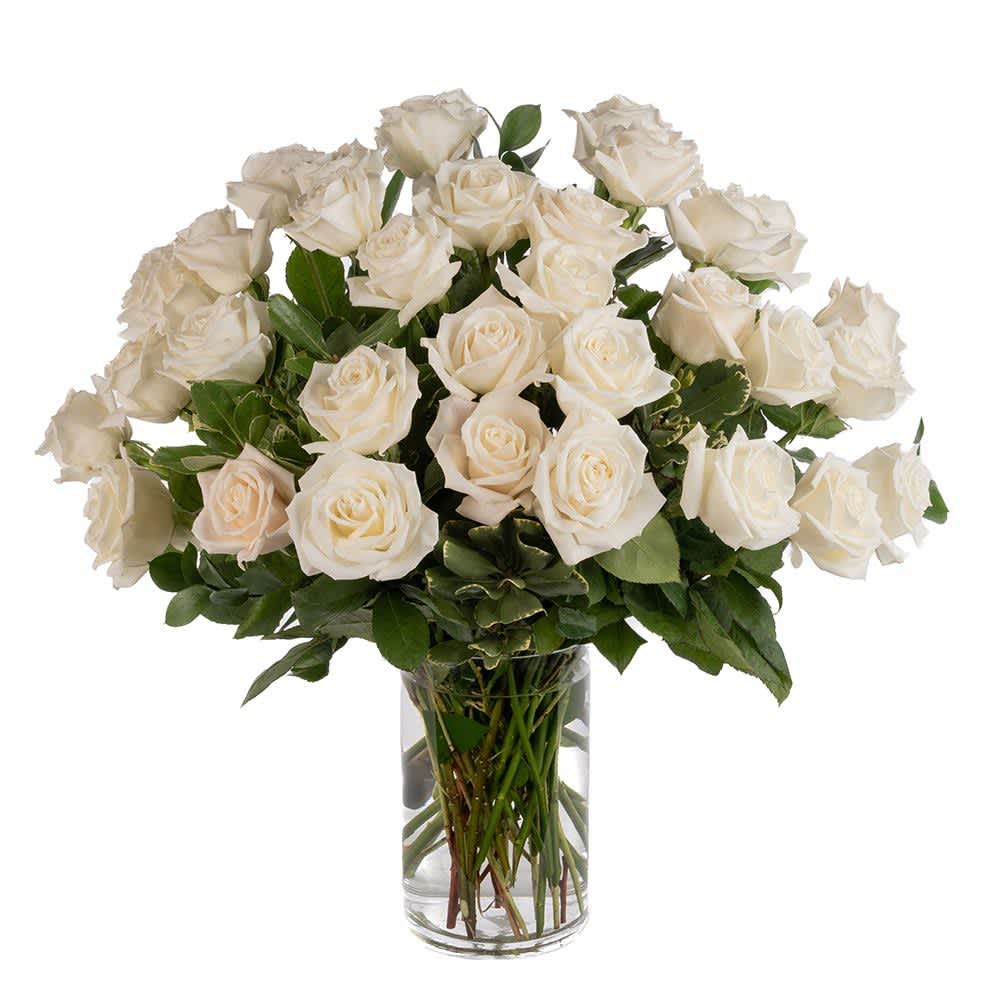 RW36 -Three Dozen White Roses - Our classic 3 dozen white roses are designed with long-stem 70 cm roses, rich greens in a 11&quot; clear glass cylinder.