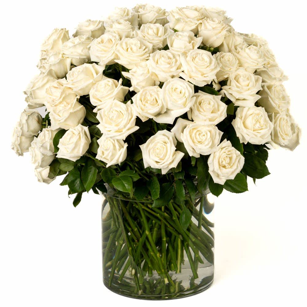 RW100 - 100 White Roses - Our classic 100 white roses are designed with long-stem 70 cm roses, rich greens in a clear glass urn. 