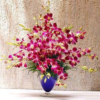 Pacific Paradise Premium - An ocean of purple orchids in a glass vase. You'll swim in a sea of smiles.