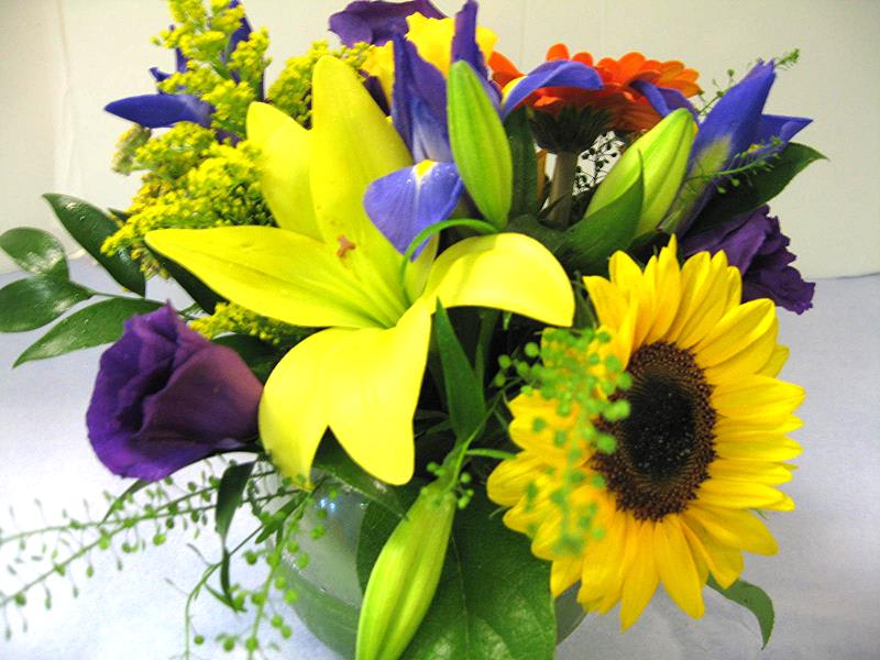 Sunflower Morn - Yellow Lily, Sunflower, Iris
