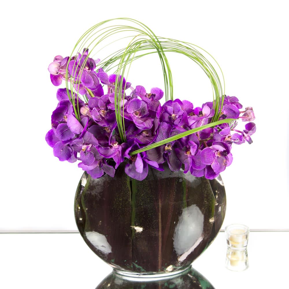 Whimsical Vandas  - Unique and stunning..... purple Vandas bloom with color and passion in this striking contemporary asymmetrical design set in a globe vase. Artfully placed Vandas are accented by aerial grassy loops giving it a fabulously stylish look. A specialty piece that will deliver joy and will be long remembered. 