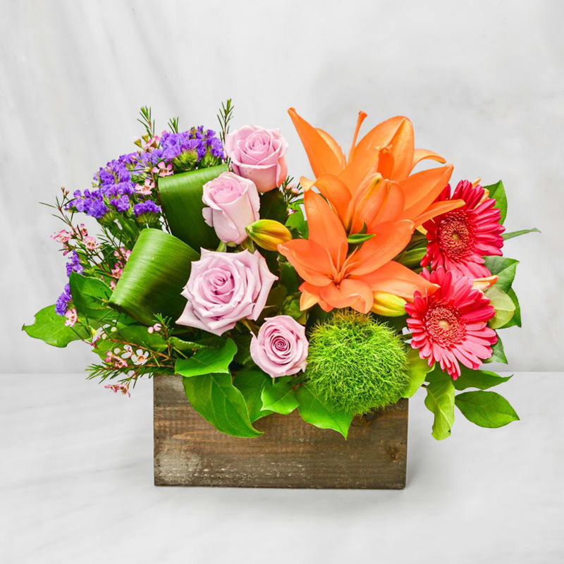Riveting Rainbow - This rainbow inspired arrangement is such a unique design. This is an interesting arrangement that is made quite uniquely. Instead of the typical style arrangement, send something a bit more unique and interesting. Instead of the typical red, orange, yellow, green, blue and purple, this arrangement includes shades of pink, oranges, purple, lavender and green but is designed in modern clusters to resemble a rainbows beautiful arches. This arrangement is designed in a wooden rectangle box that is about 6 inches long. The arrangement includes Lilies, Roses, Statice, Green Trick, Daisies, Wax flower and the greens that are included are Tai Leaf and Salal.