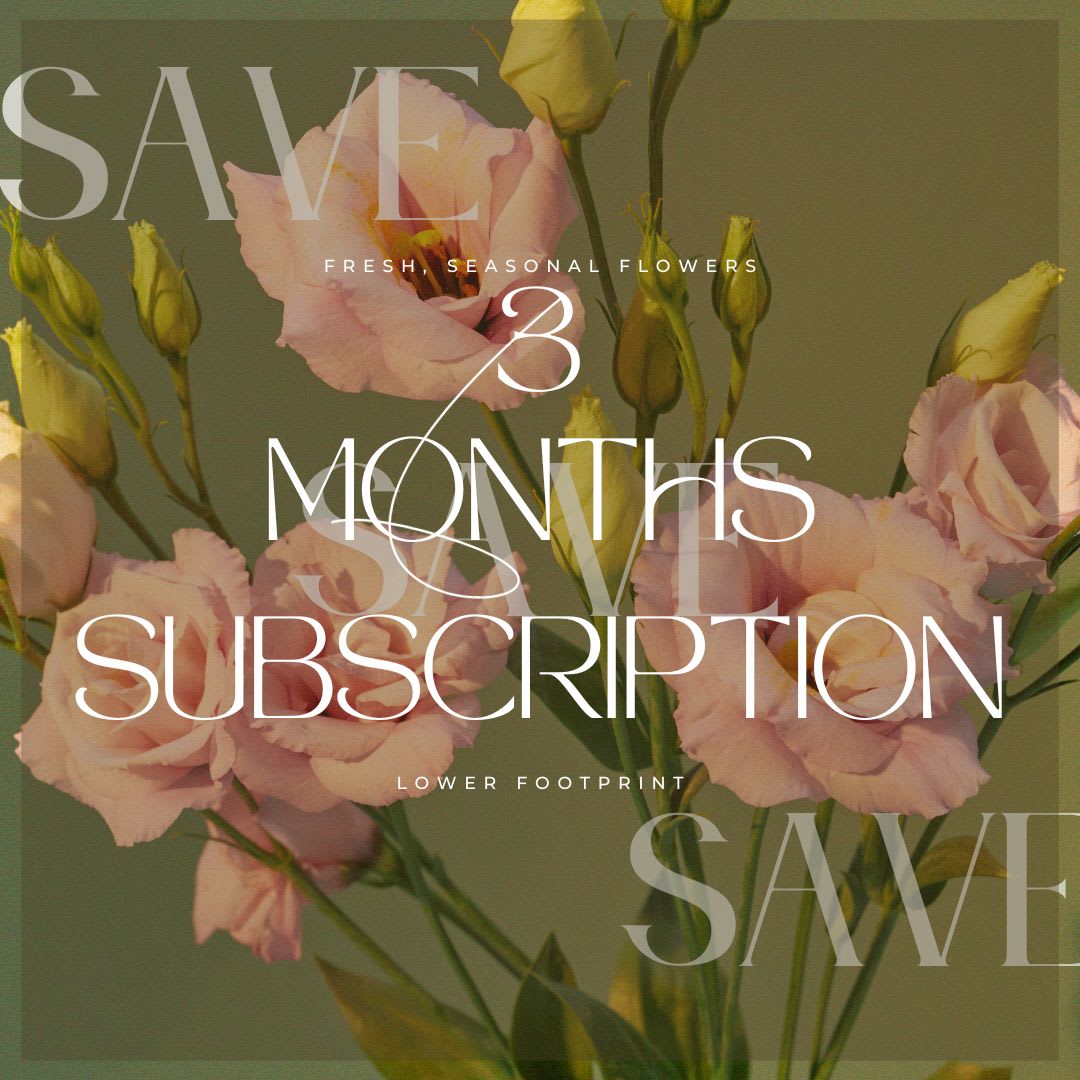 Weekly Subscription - 3 Months - Weekly Subscription - 3 Months  Subscriptions are now available! Get deals on delivery and fresh, seasonal flowers of our arrangements or a designer choice with the choice of standard, deluxe, or premium value weekly, bi-weekly, or monthly.     Select what day you would like your delivery monthly, bi-weekly or weekly in check-out. You can tell us your taste and style under floral instructions .     To help reduce footprint, please leave the old vase on the porch and we will pick it up while we deliver your new arrangement. You will receive a text upon arrival.  You can email us at flowerfinesse@yahoo.com if you would like to skip or postpone a delivery. 