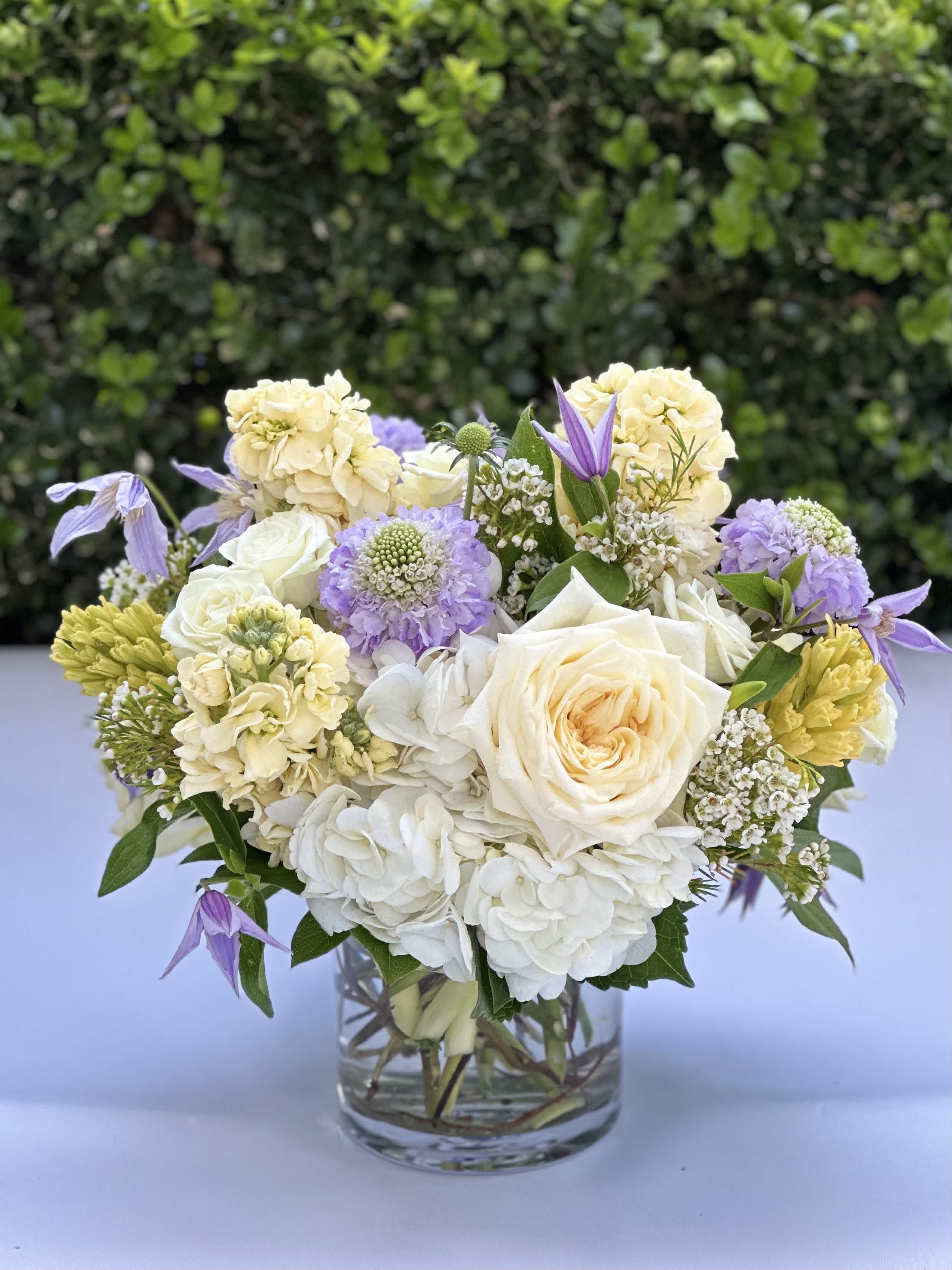 Lavender Serenity - This serene collection of lavender and ivory blooms features ivory roses with delicate accents of clematis, fragrant stock, yellow hyacinth and textural greens.