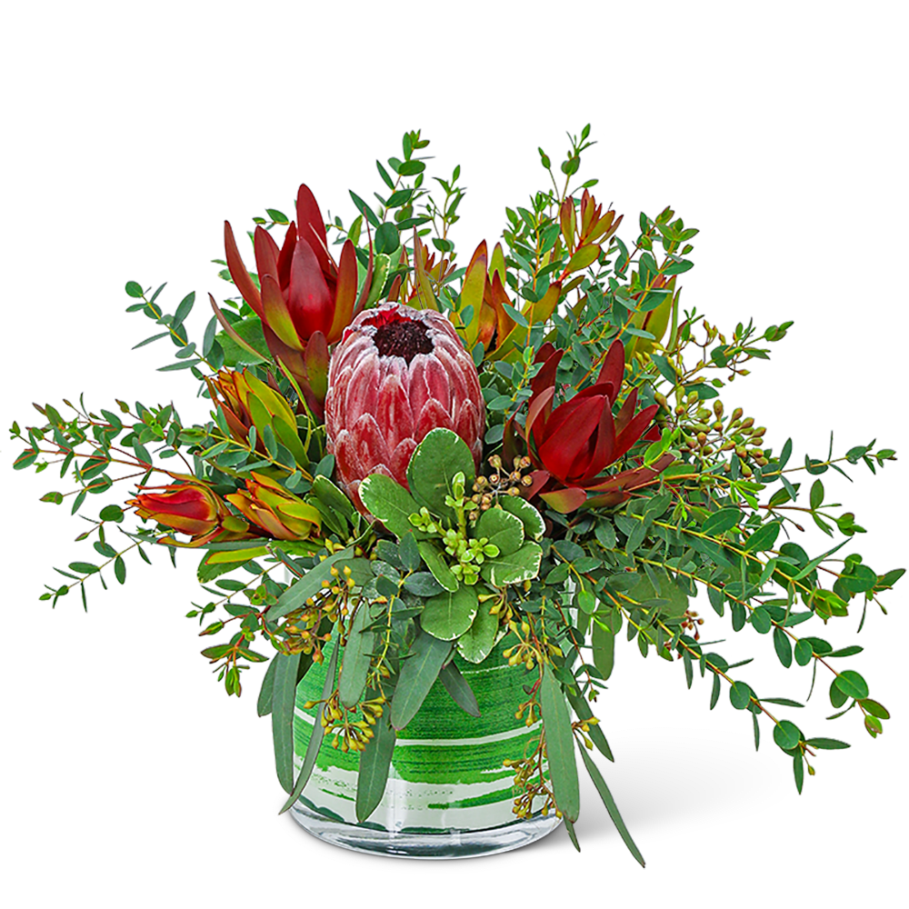 Protea Wilderness - Protea Wilderness is a striking flower arrangement that captures the wild and untamed spirit of nature. This unique arrangement features a variety of protea flowers combined with lush foliage. The bold textures and natural elements create a stunning and dynamic look, perfect for adding a touch of drama and vibrancy to any space. Whether you're looking to make a statement or simply bring the beauty of the outdoors inside, Protea Wilderness is the perfect choice.