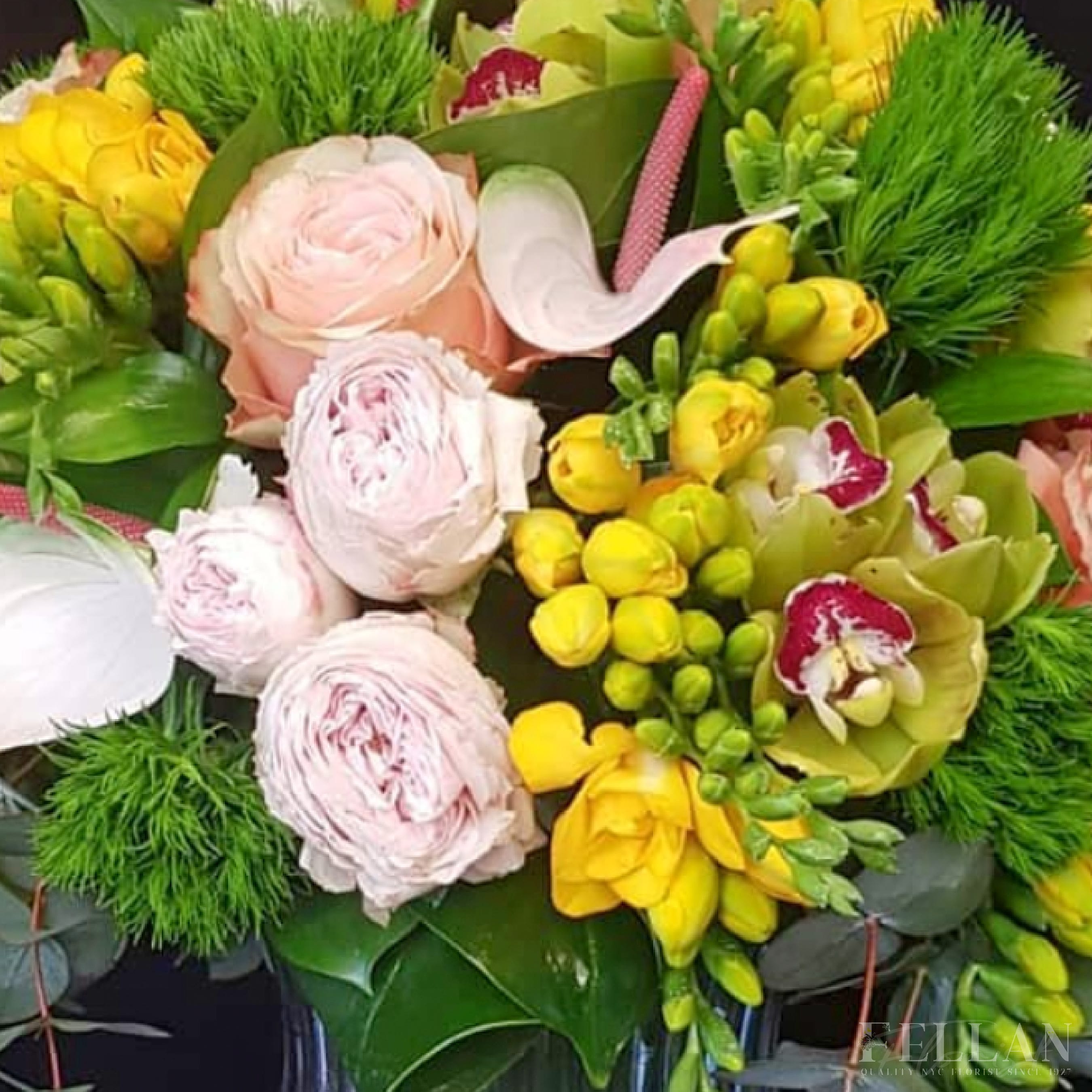Sunshine Orchids and Roses - Beautiful cymbidium orchids, roses, tree fern, dianthus and complimentary flowers make a stunning presentation for any occasion. 
