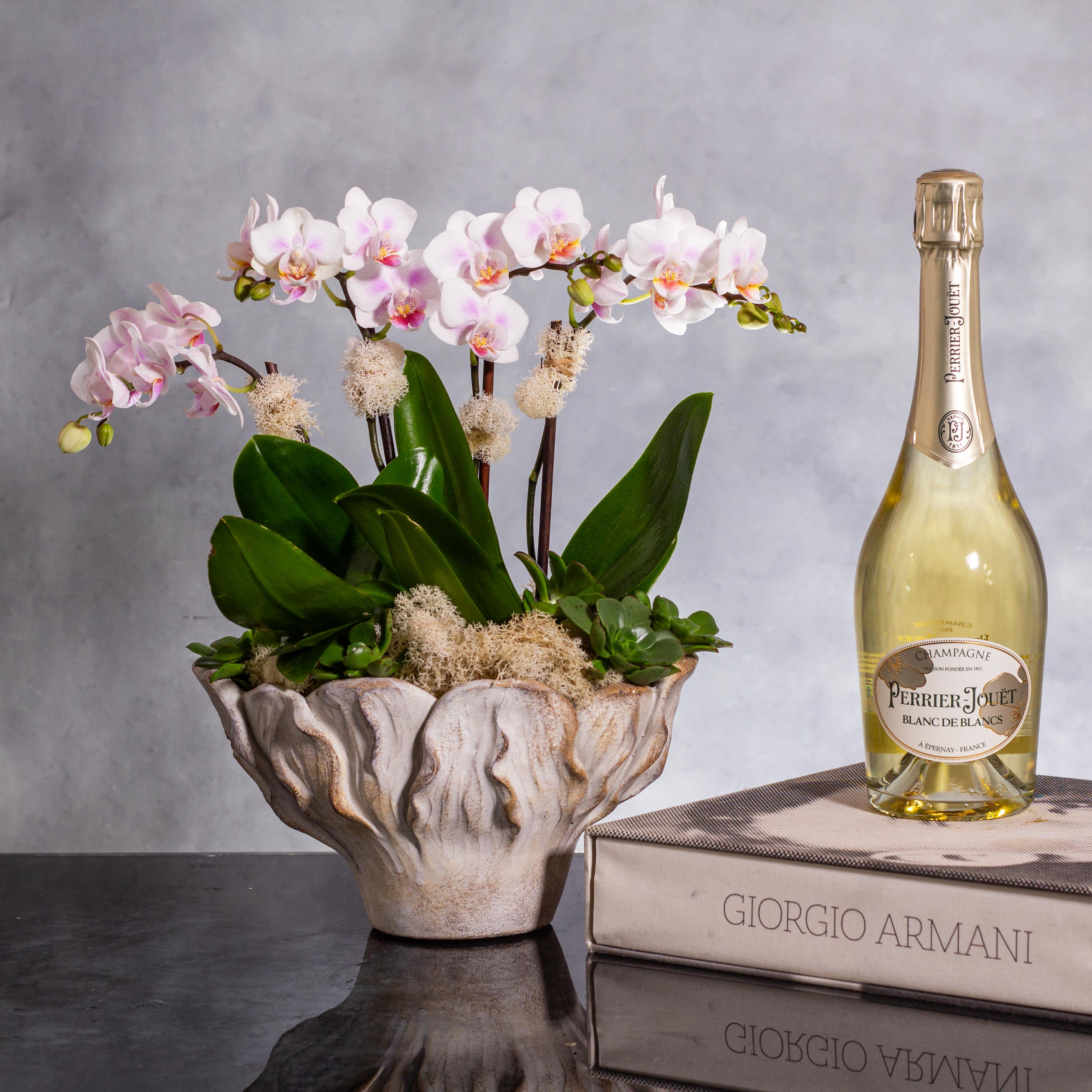 Soft Pink Orchids I Love  - Delight in the exquisite beauty of our Orchid Splendor arrangement, featuring Phalaenopsis orchids in a delicate pink hue and four mini Spike orchids. Standing at 11 inches tall and 9 inches wide, this enchanting display is perfect for any location and occasion. The soft pink tones of the Phalaenopsis orchids complement the elegance of the mini Spike orchids, creating a harmonious blend of grace and charm. Whether gracing a special event or adding a touch of sophistication to your space, this floral arrangement is a timeless symbol of beauty and joy.