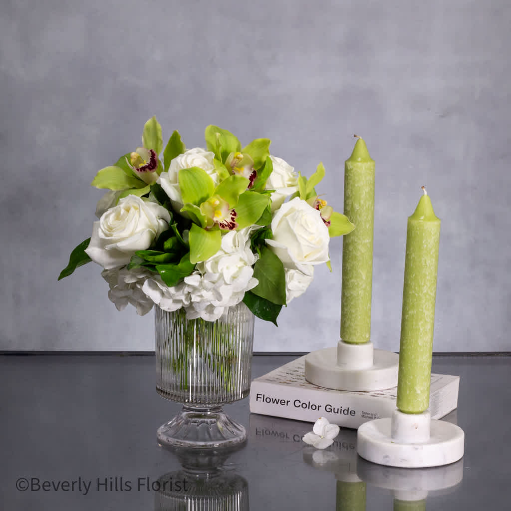 Designers Choice - WHITE AND GREEN - Indulge in Opulence: Green and White Floral Luxury  Immerse yourself in the epitome of sophistication with our same-day delivery service to these prestigious Los Angeles locales: Beverly Hills, Santa Monica, West Hollywood, Malibu, Pasadena, Bel Air, Pacific Palisades, Culver City, Brentwood, and Hollywood Hills. Our skilled floral artisans craft exquisite arrangements using only the freshest green and white blooms, hand-picked daily to ensure unparalleled quality. Let us elevate your surroundings with the timeless elegance of nature's beauty, delivered straight to your doorstep with our exclusive Designer's Choice selection.