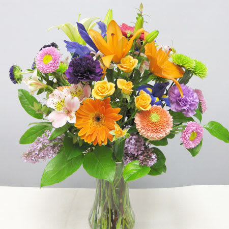 All Occasions -11 All Occasions -11 - AOG-11