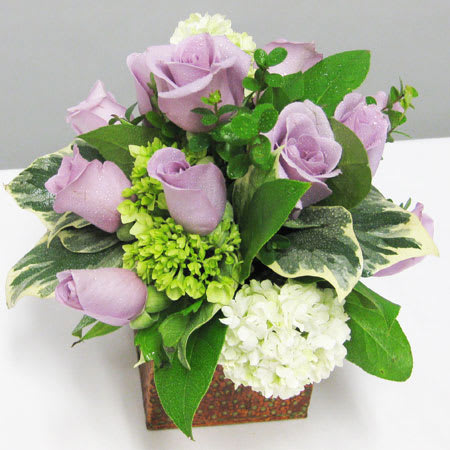 All Occasions -15 All Occasions -15 - AOG-15