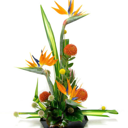 Ikebana-02 Ikebana-02 - Ikebana-02