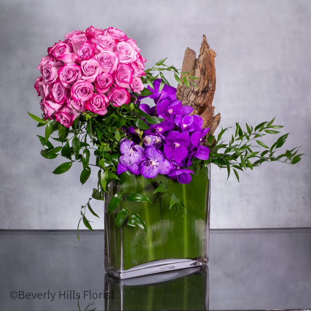 A star is born 2024 -  Experience the magic of same-day flower delivery with our extraordinary creation from Beverly Hills Florist, ready to dazzle and delight your recipient in Los Angeles. Standing tall at 22 inches and boasting an impressive width of 18 inches, this modern marvel is a testament to sophistication and style.  Crafted with care and attention to detail, this arrangement is a symphony of color and texture. Lavender two-tone roses, exuding grace and charm, dance alongside the exotic allure of vanda orchids in a deep, majestic purple hue.  But this arrangement is more than just flowers; it's a gesture of admiration and appreciation. It's a way to convey just how special someone truly is, in a language that transcends words.  Whether you're celebrating a milestone, expressing gratitude, or simply wishing to make someone's day brighter, our modern and spectacular creation from Beverly Hills Florist is the perfect choice. Let us bring your vision to life and deliver this token of love and appreciation straight to their doorstep in Los Angeles today.