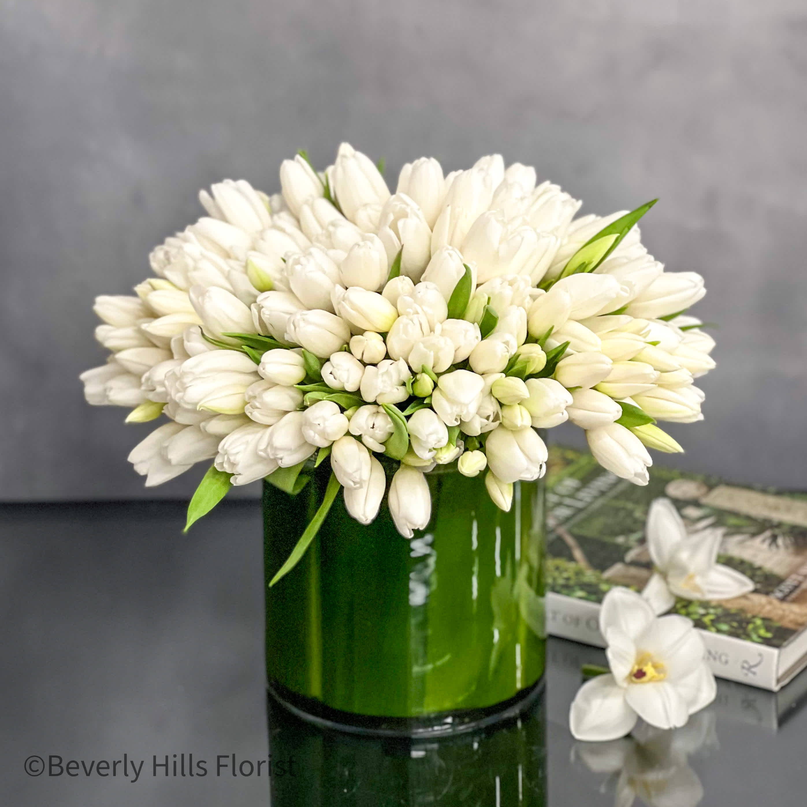 Tulip Fever Elegance - Achieve a truly luxurious and classic look with our exquisite floral arrangement featuring over 150 stems of white tulips elegantly arranged in a leaf-lined cylinder vase. Measuring 10 inches round, this stunning display exudes sophistication and timeless elegance, making it a perfect centerpiece or gift for any special occasion.  With same-day delivery available, you can enjoy the beauty and freshness of this abundance of white tulips in a stylish and opulent presentation. Whether for a grand event or to simply elevate your space with a touch of luxury, this arrangement promises to captivate with its sheer beauty and graceful charm.