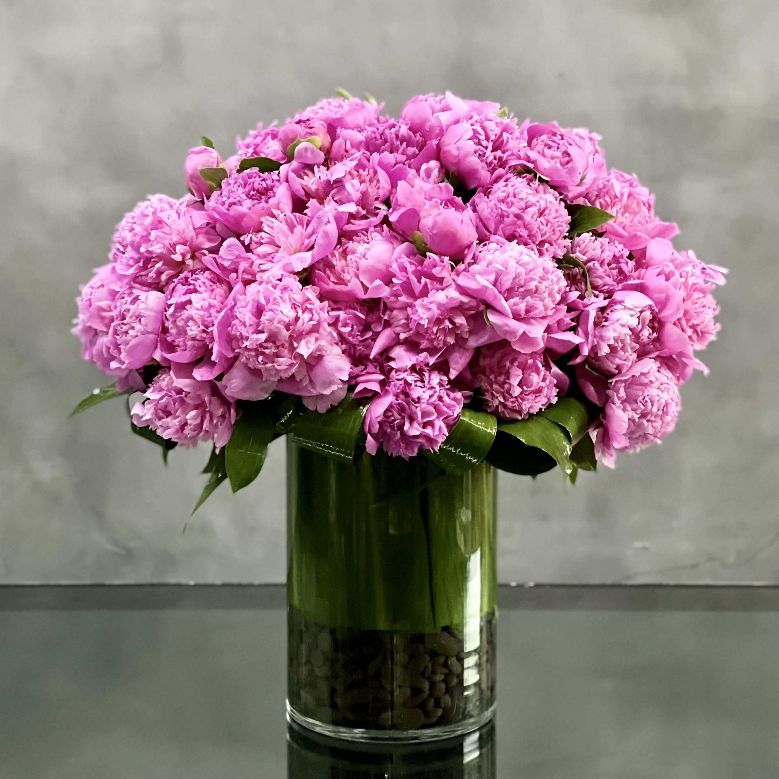 Hot to Trot Peonies - Touch her heart with this gorgeous masterpiece in pink! An elegant glass vase holds this luscious arrangement of large, full, hot pink Peonies and greens add to the fullness and overall beauty of the design.   approx. 24&quot; tall and wide. 