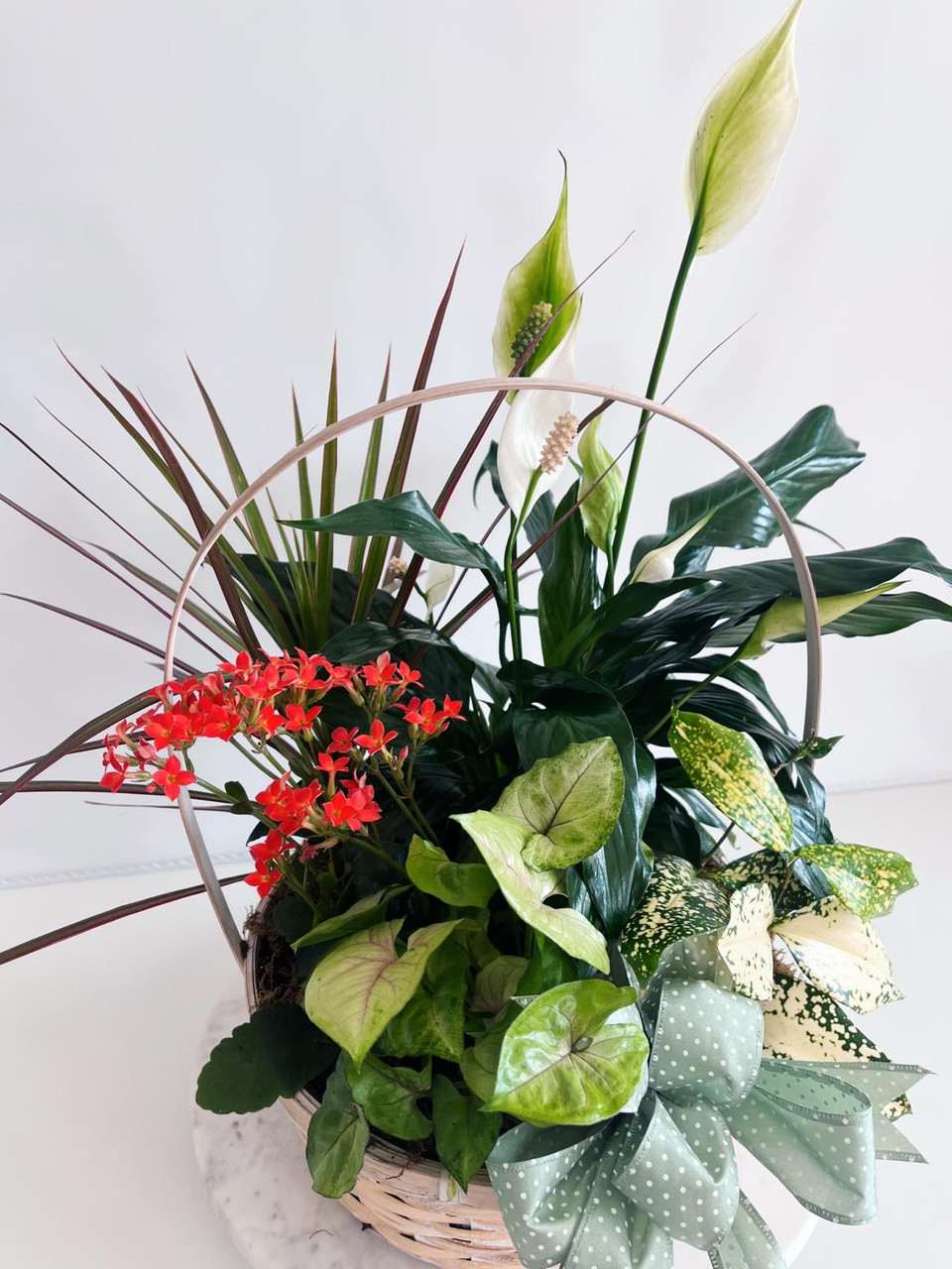 Blooming Plant Garden - These vibrant blooms add the perfect touch to a luscious garden of greens! Plants and blooms may vary.