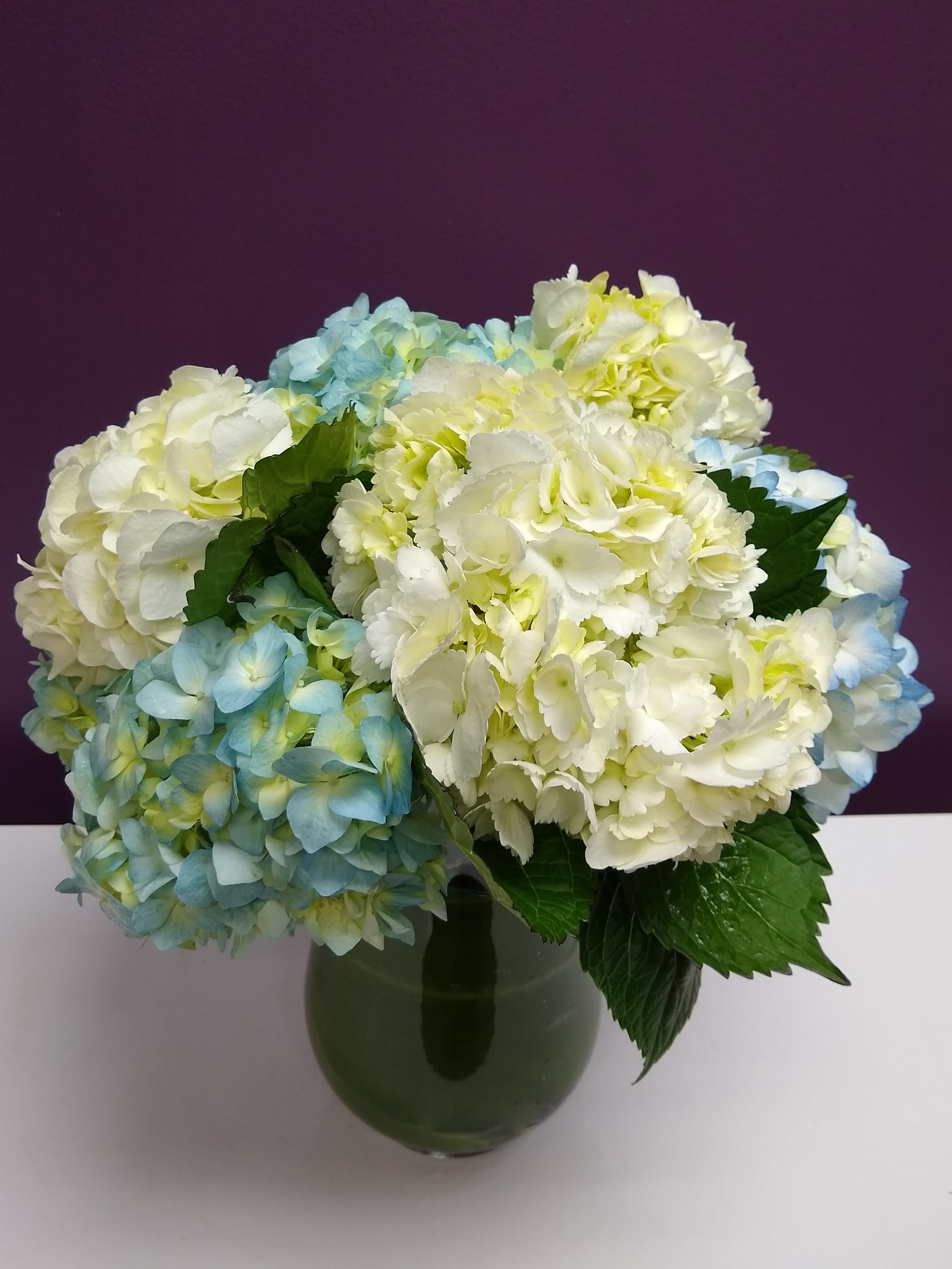 SUMMER DREAMS HYDRANGEA - A lovely expression of each heartfelt wish you have for your special recipient!  Clouds of blue hydrangea It's perfect!