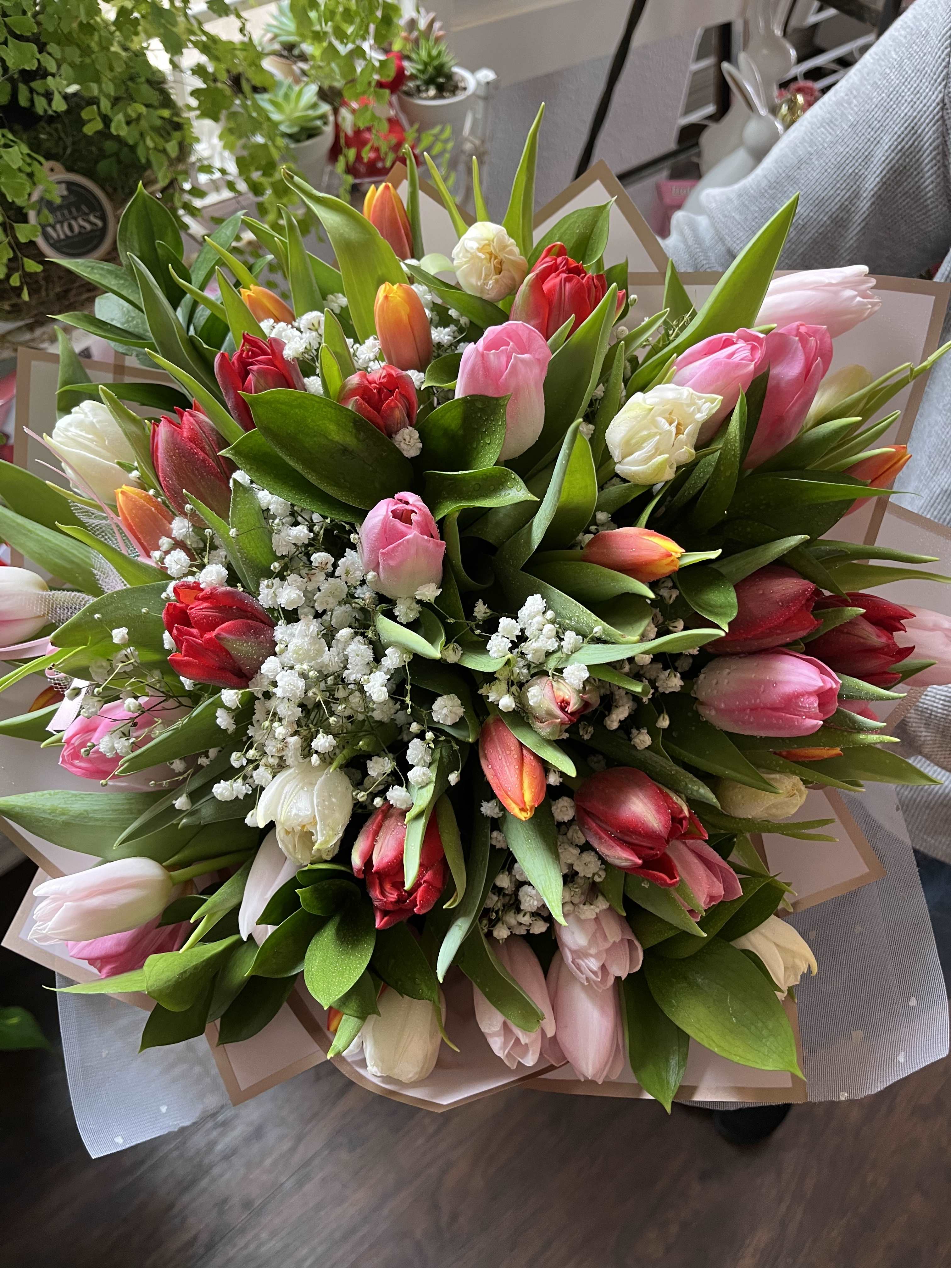 Tulip Ramo  - Mixed tulip ramo approximately 40-50 stems 