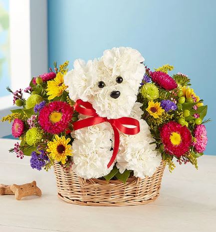 a-DOG-able in a Basket - Unleash the smiles with our original pup arrangement! Hand-designed inside a basket, this customer favorite floral creation makes a great gift for pet lovers or anyone who could use a little puppy love in their life. **** BASKET WILL VARY **** 