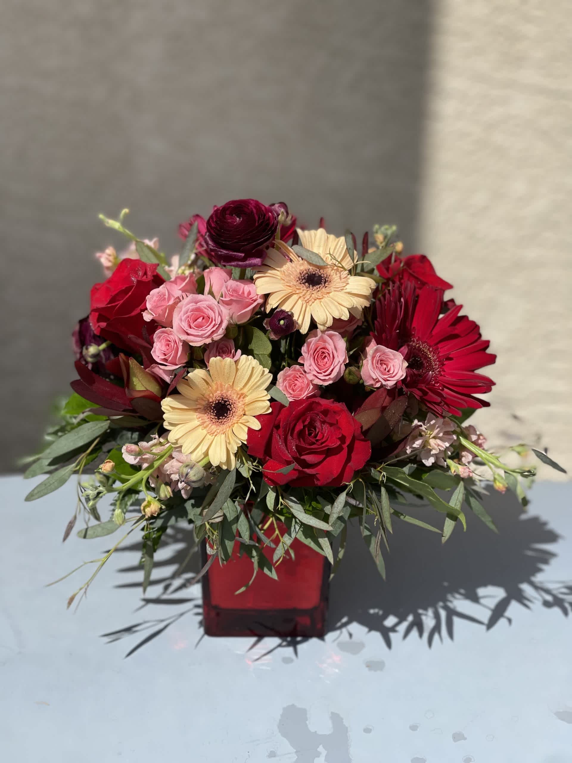 Reason To Love Reason To Love - The contrast of deep reds against the pastel hues gives us all the reason to love this design!