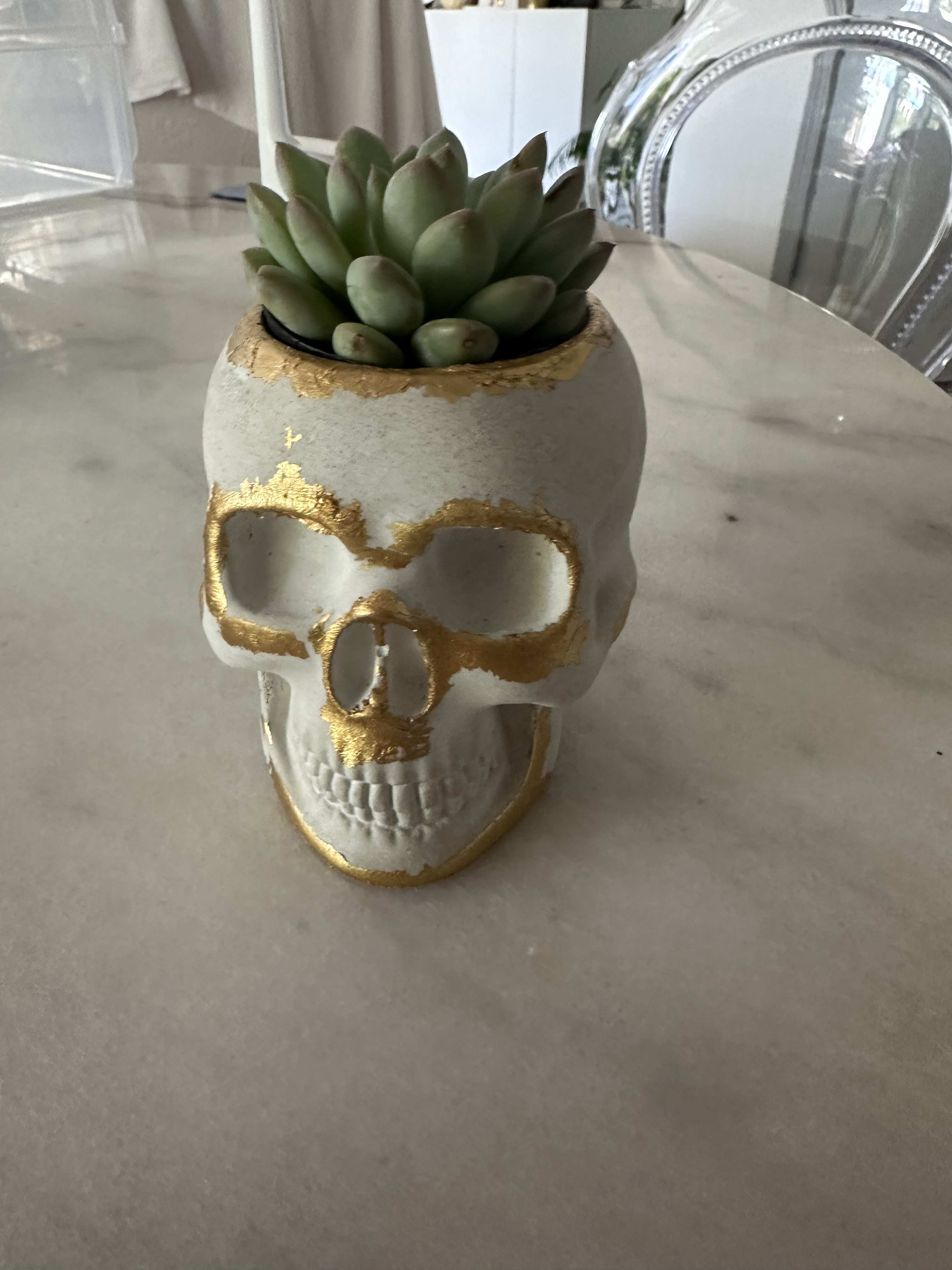 Skull Planter Succulent Skull Planter Succulent - Cracked Skull Planter - Succulent Planter Pot Vase with beautiful succulent.