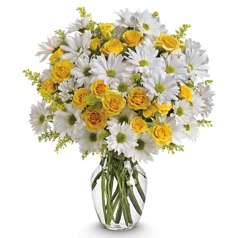 Sunny Day Daisy - Immerse yourself in the enchanting world of daisies, where each delicate petal tells a story of beauty and elegance..The beautifully bountiful bouquet includes white daisy spray chrysanthemums, yellow daisy spray chrysanthemums and bupleurum accented with fresh greenery. 
