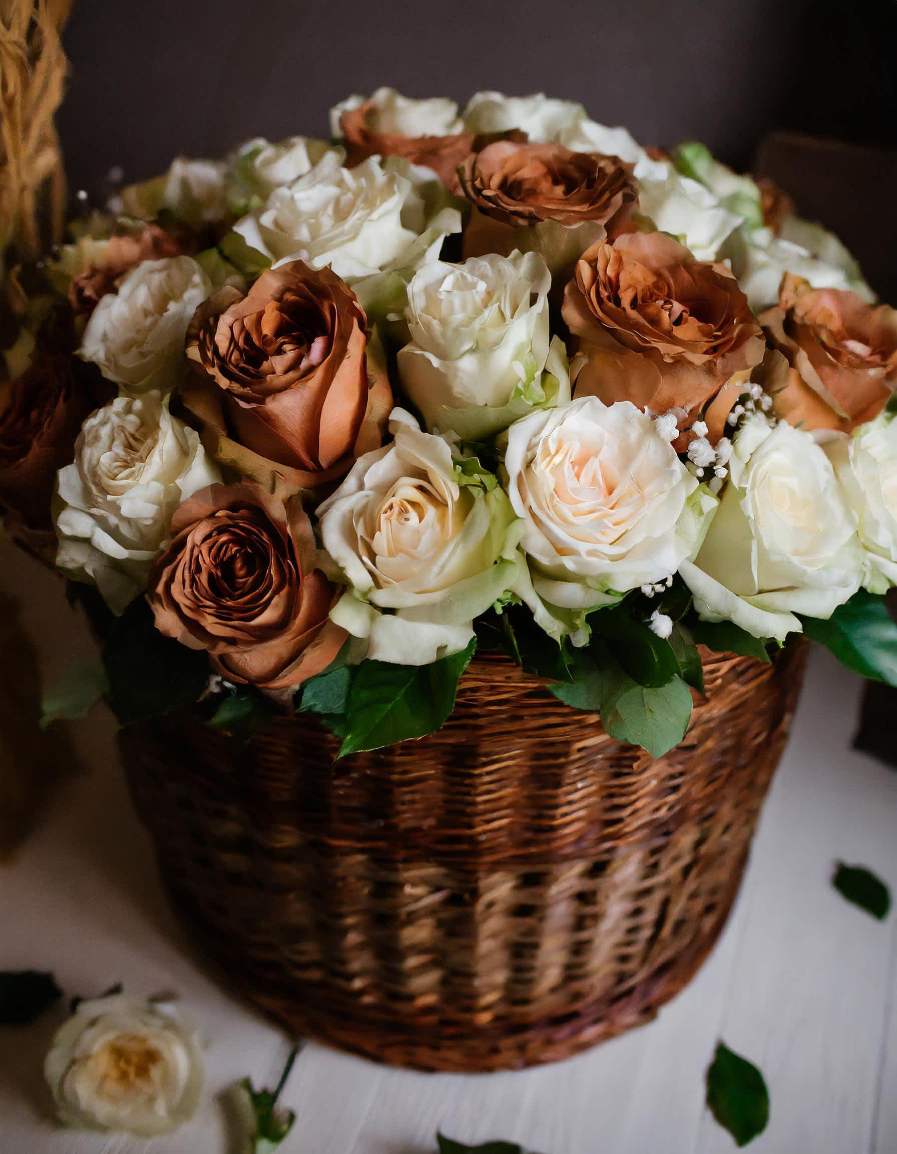 Morocco  - Toffee caramel roses, their velvety petals exuding warmth and allure. Intertwined with these blooms are pure white roses, their  petals a canvas of purity and serenity Disclaimer: IMAGE PROVIDED ARE IN 50 ROSES  Photos and visual presentation of the products represent an overall style, look and feel, which we may not be able to identically replicate in some instances.  RECOMMENDED FOR: Love and Romance, I Love You Flowers, Anniversary, Proposal,  Romantic Gift, Birthday, Get Well Soon, Celebrations, Best Wishes, Thank You, Congratulations, Just Because, New Baby, Everyday, Father's Day